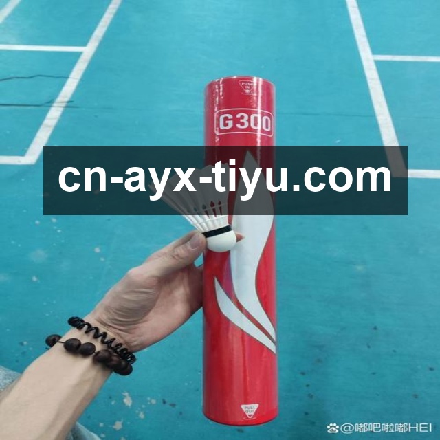 国际举联执委会会议召开，讨论下届世锦赛举办地